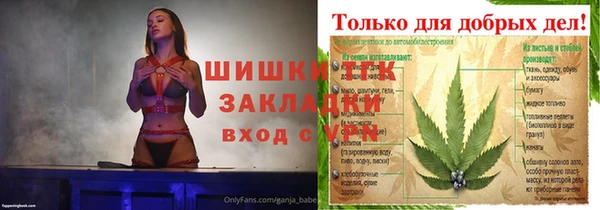тгк Алексин
