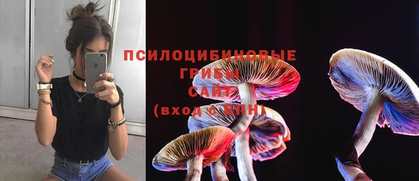 меф Алзамай