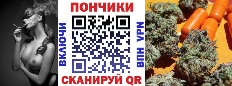 Бошки Шишки семена Борзя